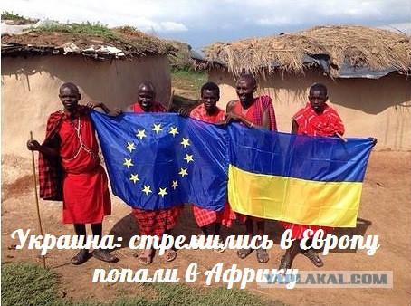 Стремились в Европу, попали в Африку — События дня