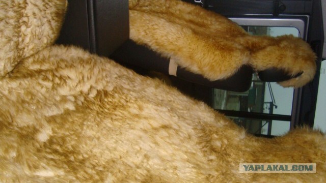 Полноприводный Внедорожник