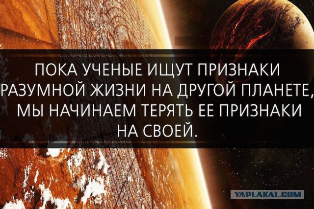 Разные картинки из сети