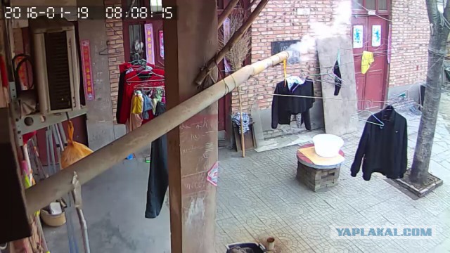За что я люблю китайцев