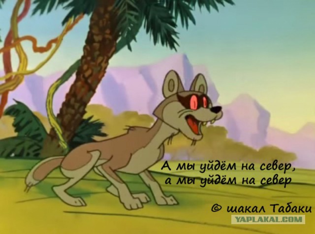 Как надоели кризисы, оставьте меня в покое - хочу жить один, без государства.