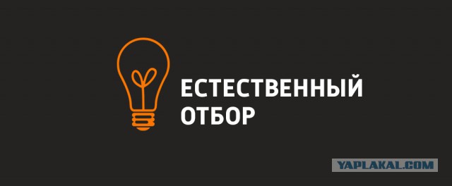 Москвич погиб, повторив «прыжок веры» из игры Assassin’s Creed
