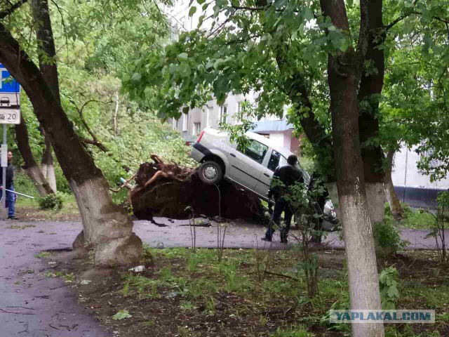 В Москве ураган!