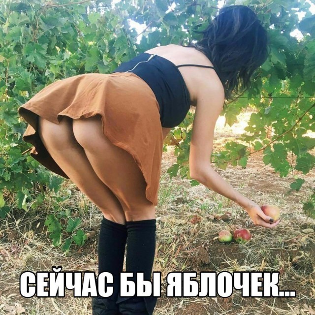 Прикольные картинки 30.06.2017.