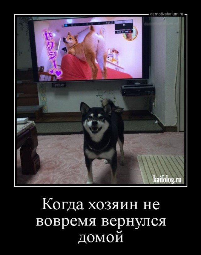 Подборка интересных и веселых картинок
