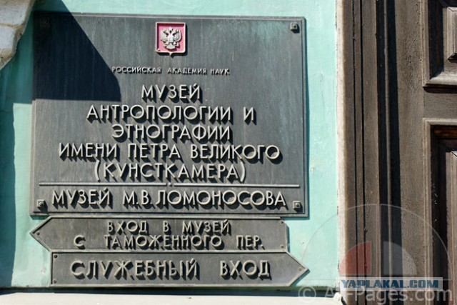 Вы думали Джигурда сдулся? Нет, есть еще порох в пороховницах.
