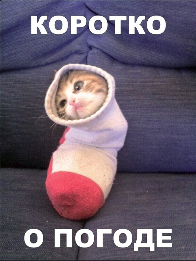 Немного милоты