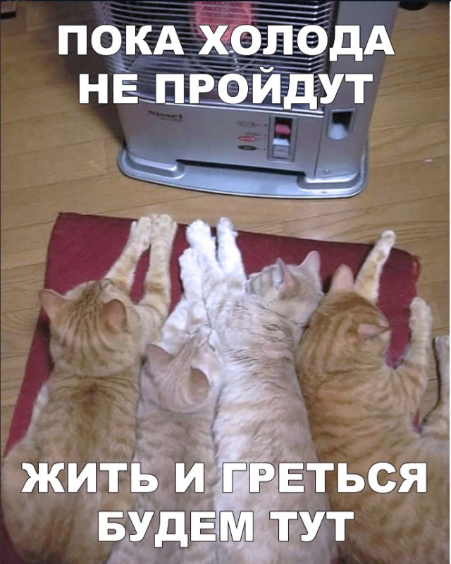 Прикольные картинки абавсём