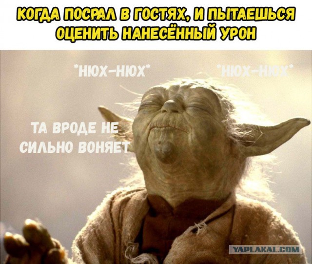 Кого звать, если...