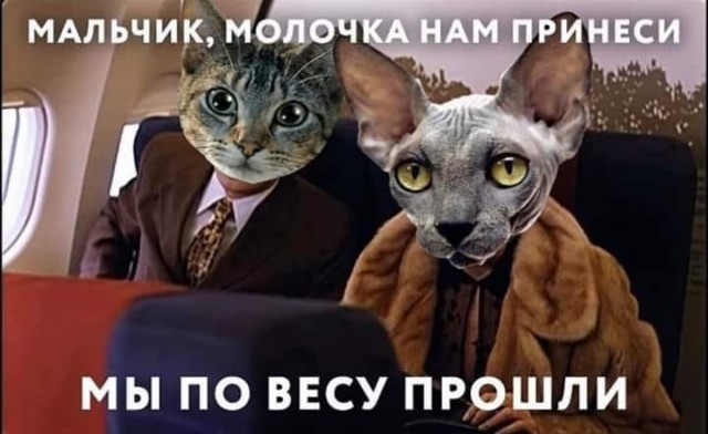 Понедельник пикчерс