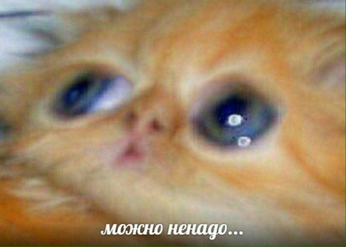 Бредзона 08.03.20