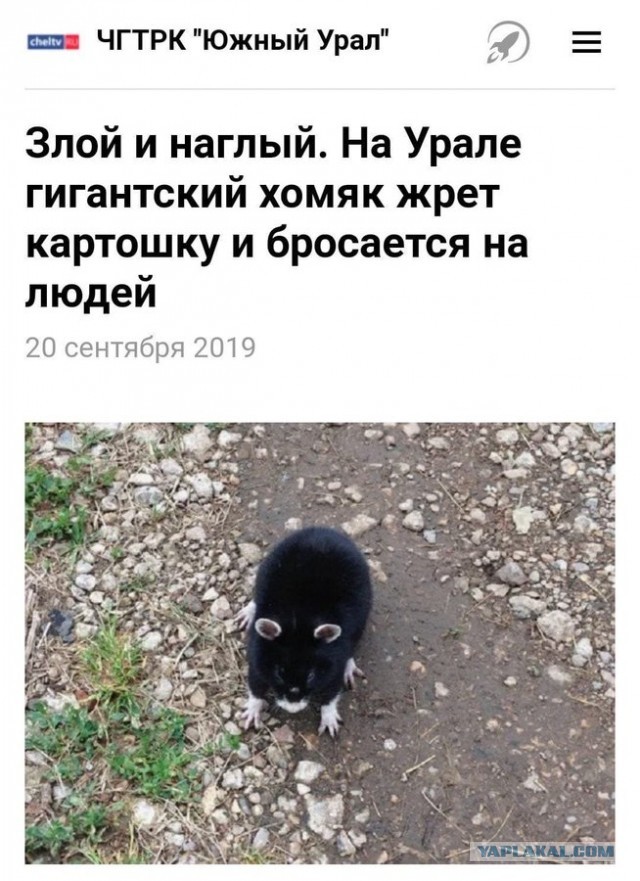 Бредзона 20.01.2021