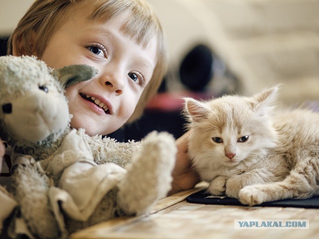 Калейдоскоп картинок