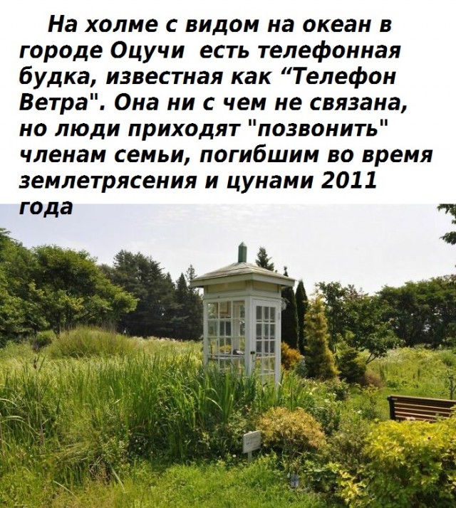 Факты, доказывающие, что Япония не похожа ни на одну другую страну .