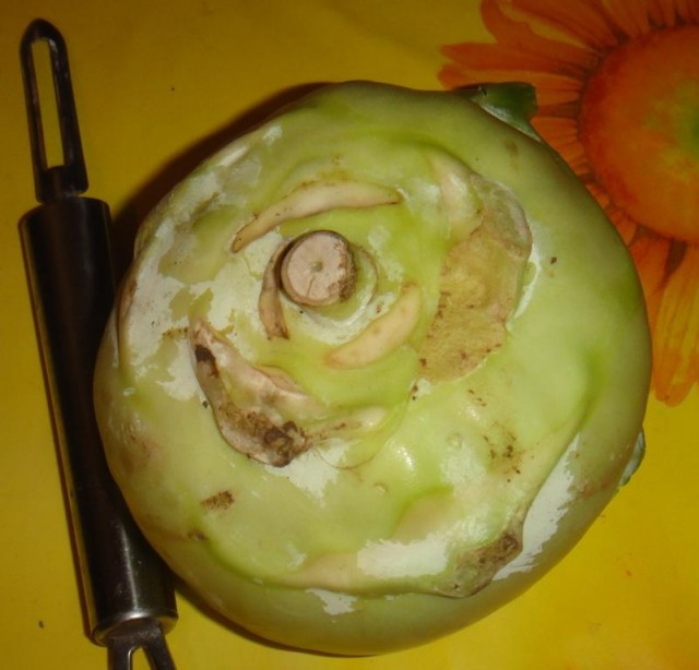 Капуста International, Наступила осень, отцвела капуста...