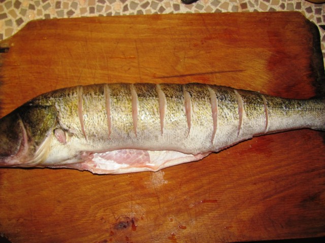 Пятничные посиделки на теплотрассе ©