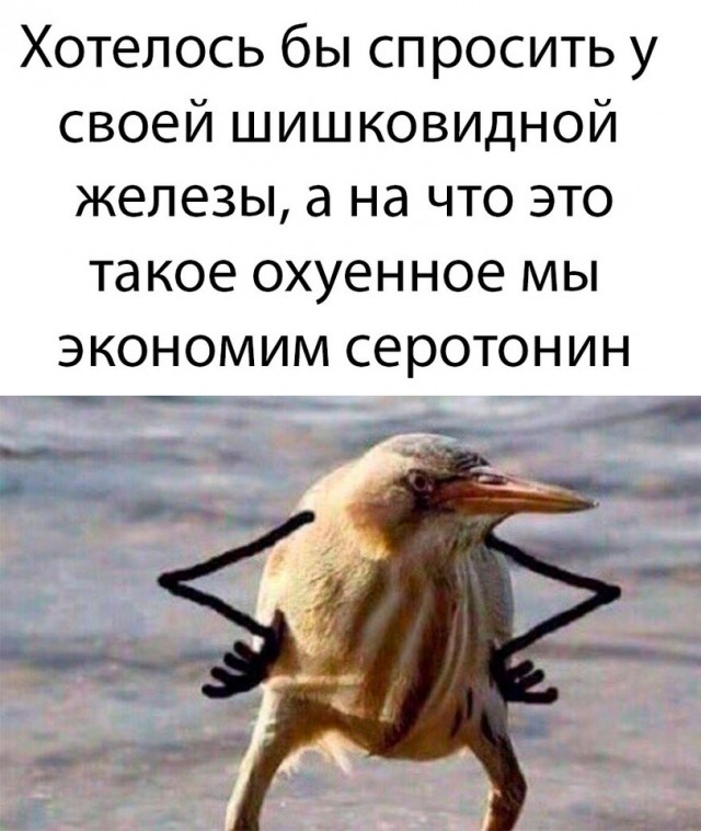 Небольшая подборка про последнюю преграду на пути "уезжающей крыши" - серотонин
