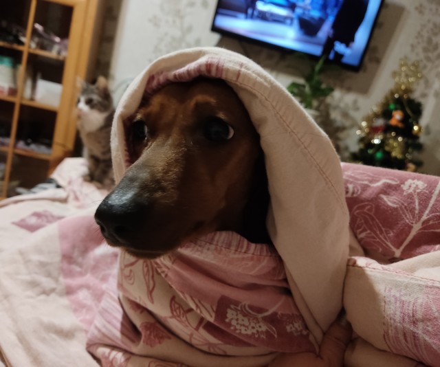 Таксомоторчик