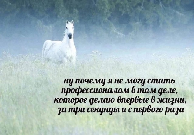 Чуток картинок 13.06.22