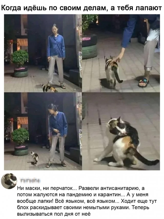 Картинки и мемы для настроения. Выходные скоро