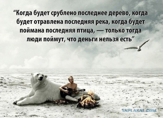 В уральский пруд запустили рыб для очистки воды, но за ценным видом тут же пришли рыбаки