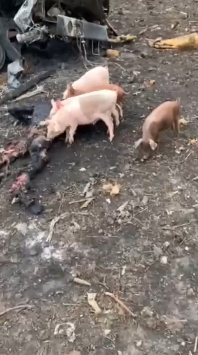 Уважаемые мобилизованные...