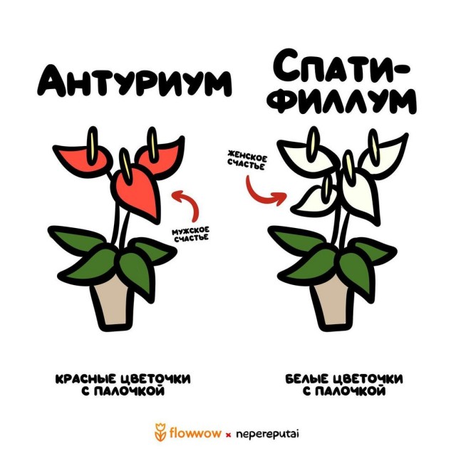 Смотри, Кутузов, не перепутай... vol.2