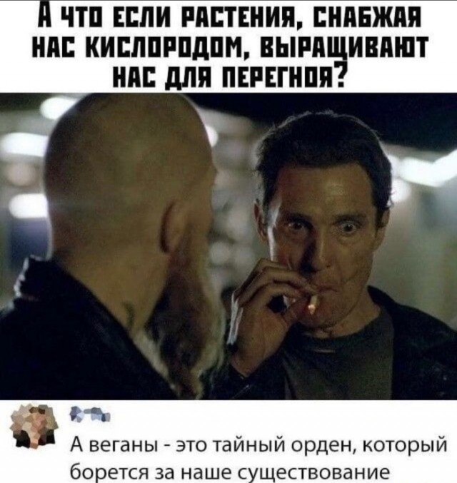 Дед, что ты натворил?