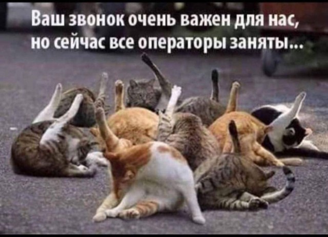 Школа джедаев. Начало