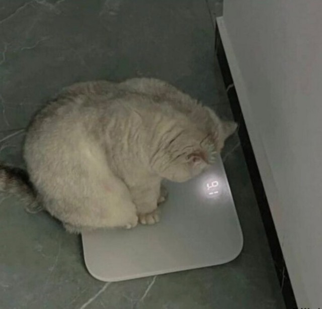 Дело было в пятницу