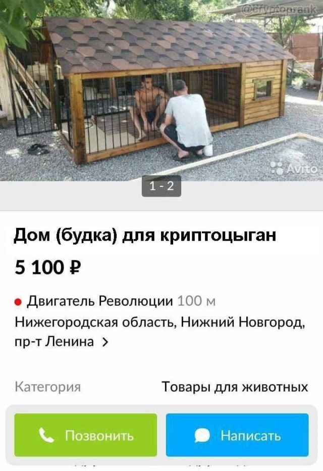 Инфоцыгане