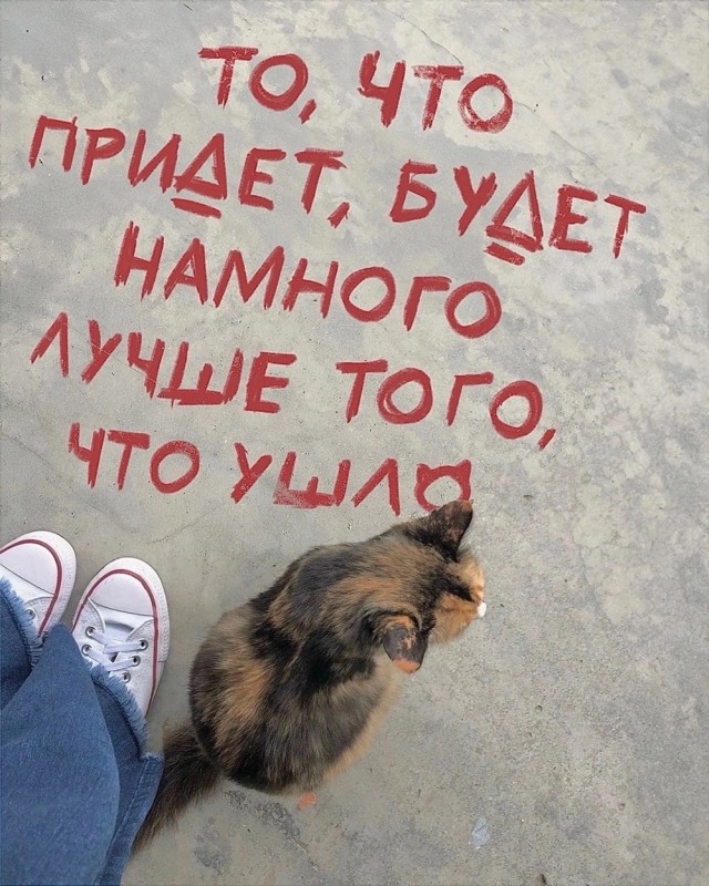 Прикольные и просто красивые картинки 27.09.2024