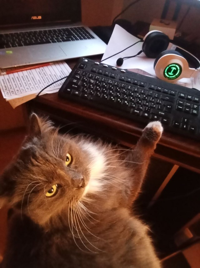 Третий круг