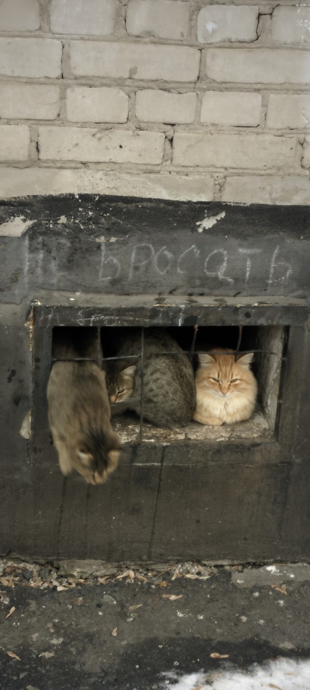 Маленькость. Сидит, глядит, никого не трогает