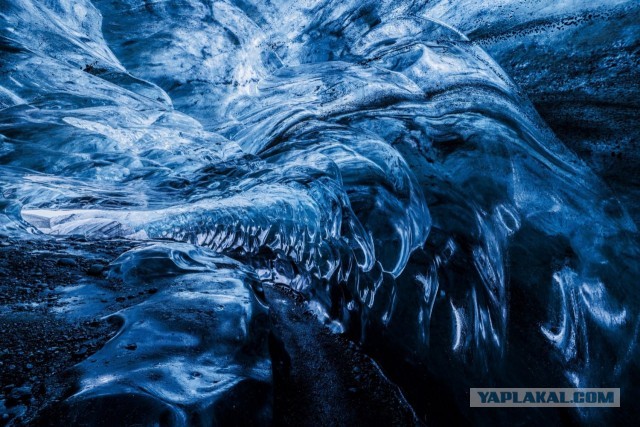 Объявлены победители конкурса World Nature Photography Awards 2025