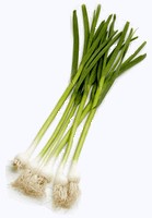 Интересные факты о сале