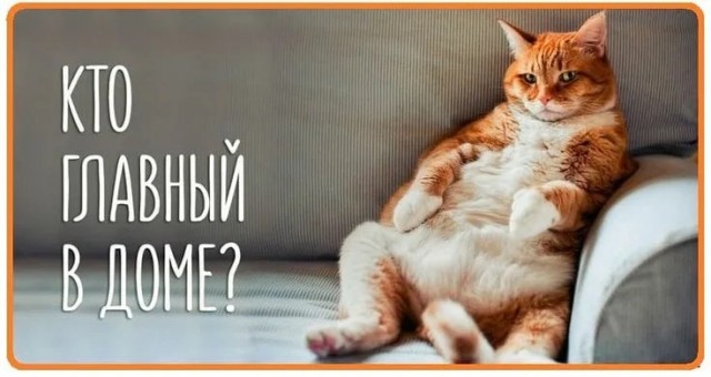 У дома должен быть хозяин.