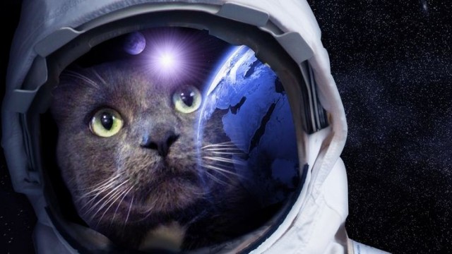Мои космонавты