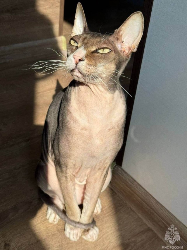 А я то тут причём?!