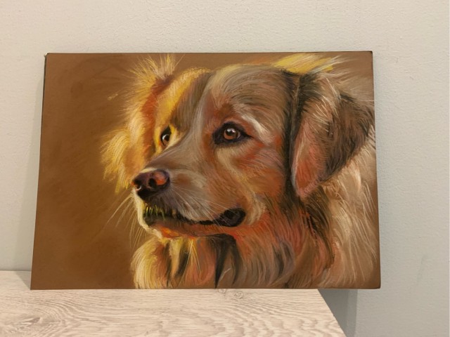 Сухая пастель