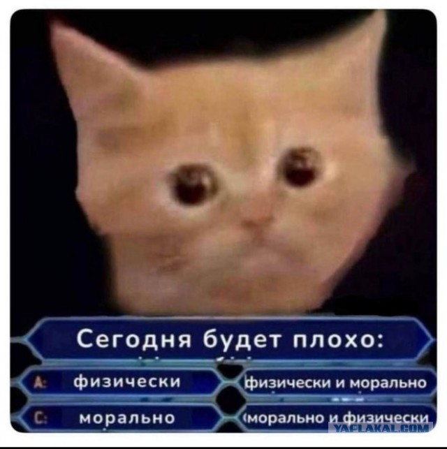 Небаянистая деградация 9