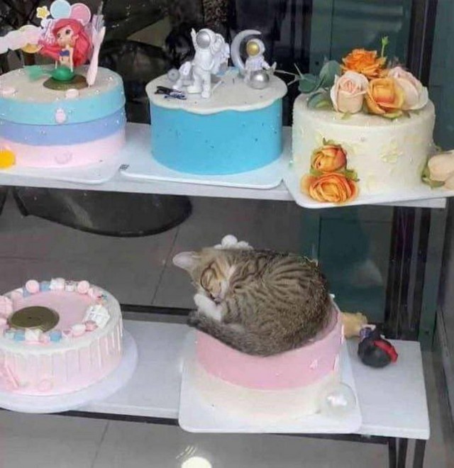 Среда пришла