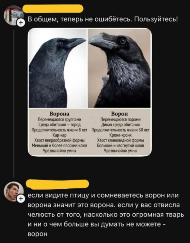 Веселые картинки в пятницу (24.04)