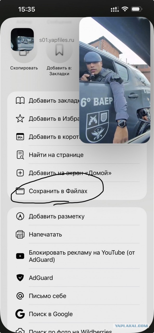 Скачать видео файл с сайта