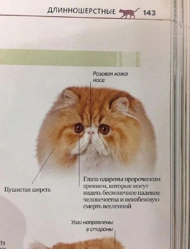 Так себе картинки 17.05.26