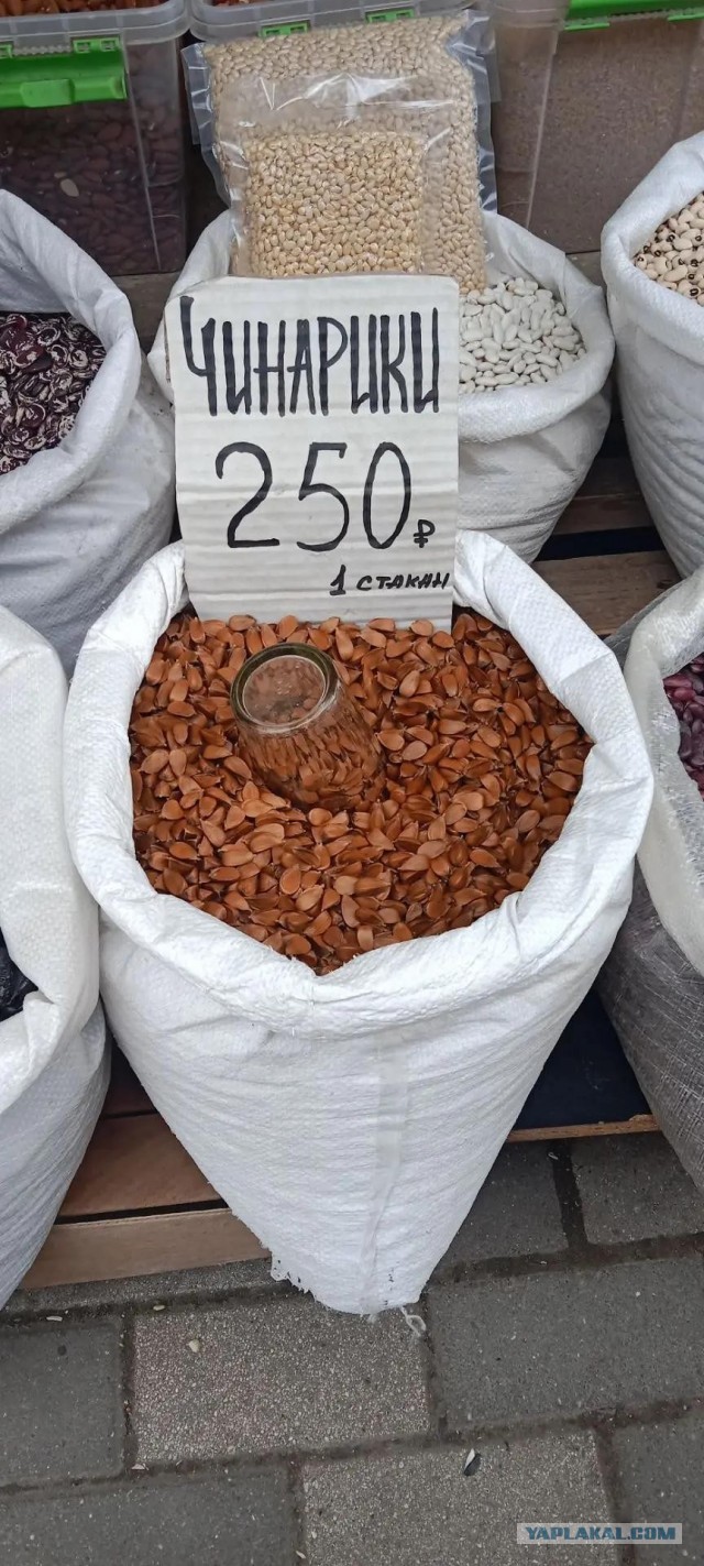 Кисловодск.