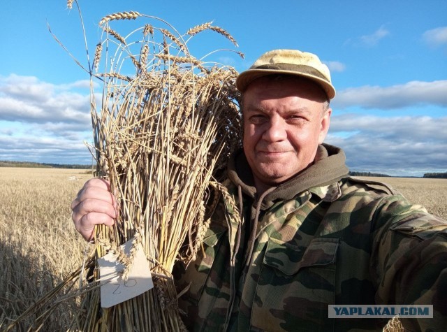 Академик РАН с тремя детьми на улицу? Суд 15 сентября