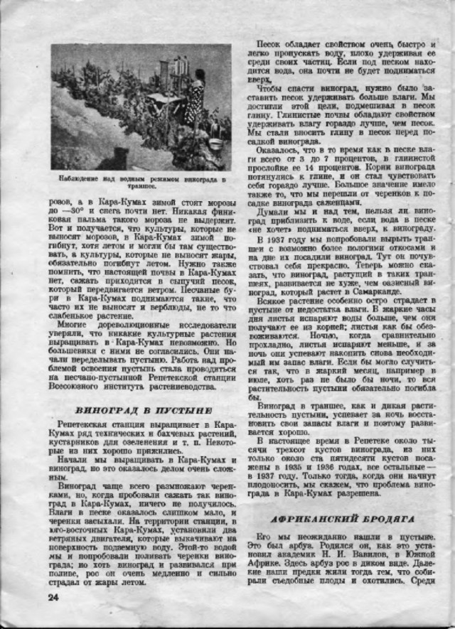 Ветхое живое время...