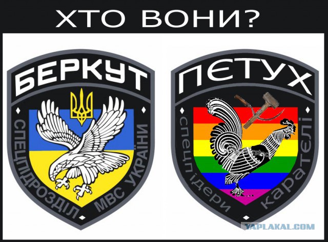 Слова парня из беркута