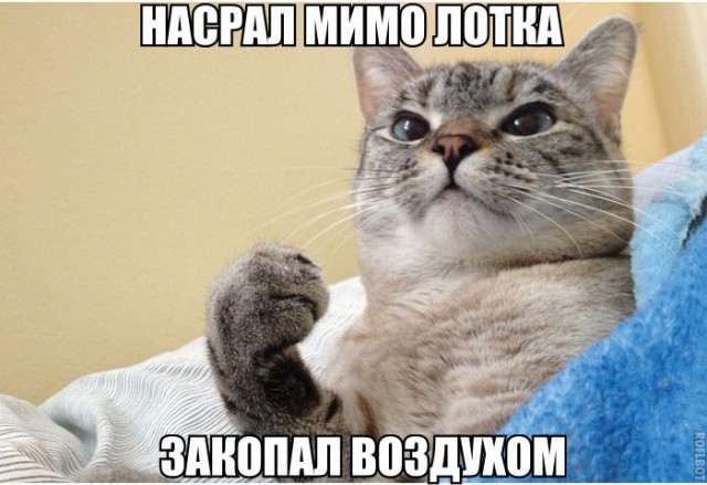 Позитивные картинки